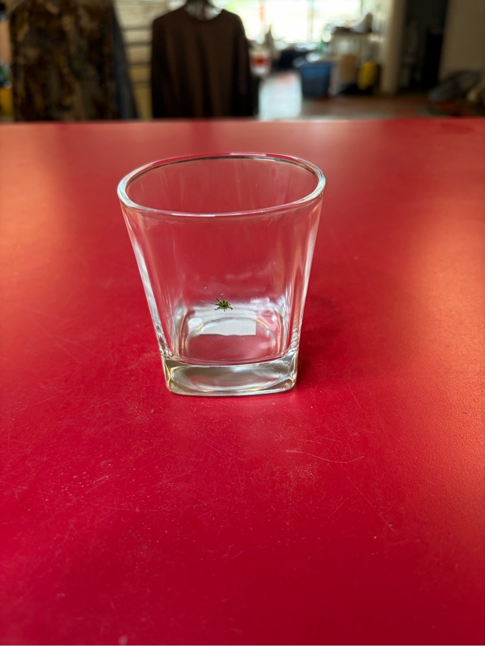 Clear Glass Tumbler - Transparent Square Base